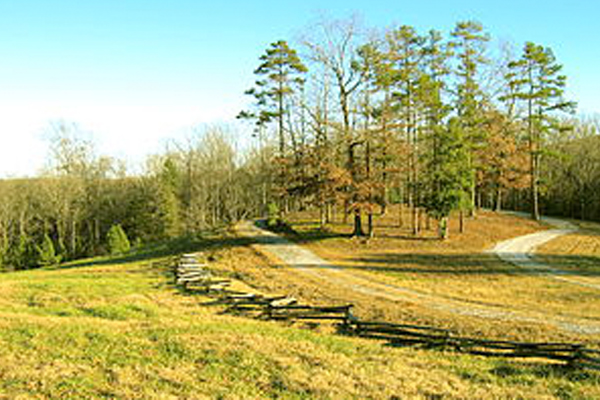 Blackstock Plantation Site